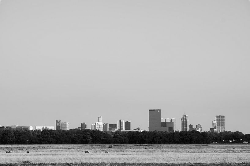 Skyline Rotterdam by Marcel Kool