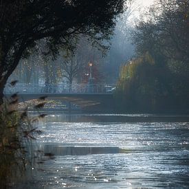 Maliesingel dans la lumière d'hiver sur Robin Pics (verliefd op Utrecht)