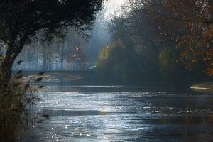 Maliesingel im Winterlicht
