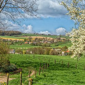 Le printemps dans le Limbourg méridional sur John Kreukniet