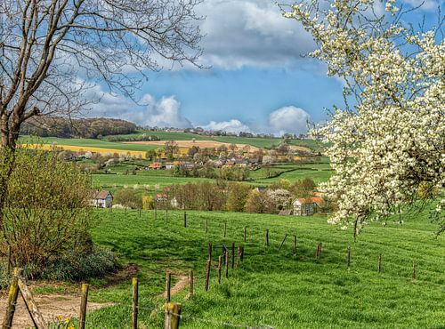 Lente in Zuid-Limburg