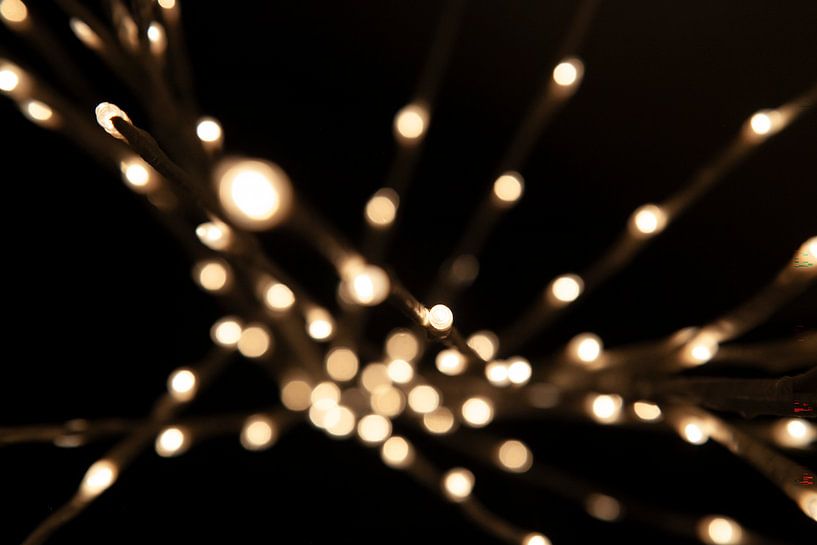 Light by Jan de Jong