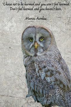 Don't choose to feel hurt.