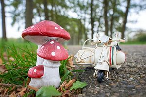 Pilzgeparkter Roller mit Beiwagen