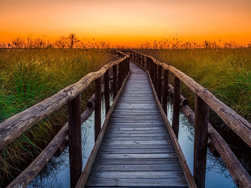 Oasi Lipu del lago Massaciuccoli by Fernando Salgado