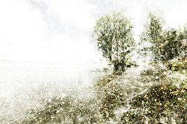 Dutch landscape Bokhoven, The Netherlands