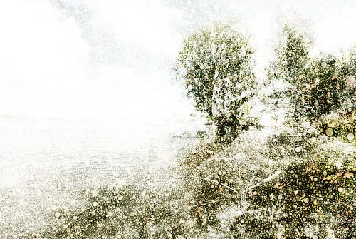 Nederlands landschap Bokhoven, Nederland