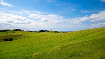 Landschap in Denemarken van Bo Valentino