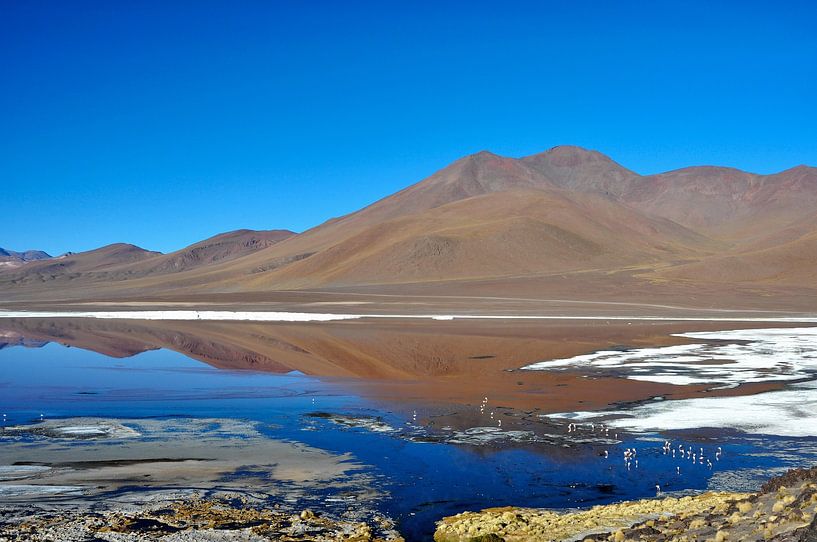 Laguna Colorada: Boliviens Naturschönheit von Frank Photos
