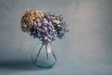 Nature morte moderne avec des fleurs d'hortensia sur John van de Gazelle fotografie