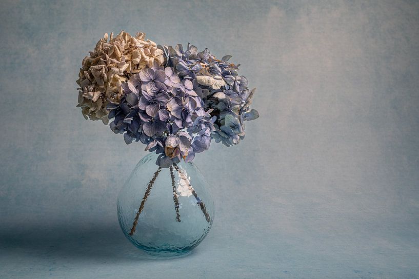 Modern still life with hydrangea flowers by John van de Gazelle fotografie