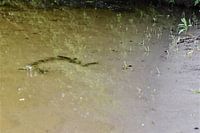 Clear water