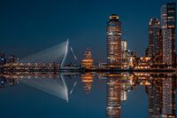 Rotterdam Night City Scape