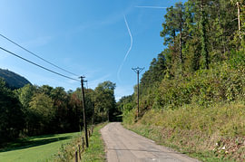 Chartreuse weg. van Richard Wareham