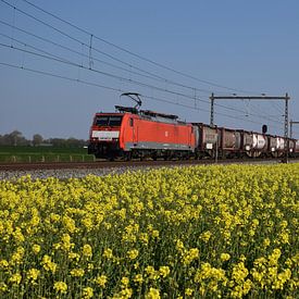 DBC 189 Nosta im Frühjahr von Harold de Groot