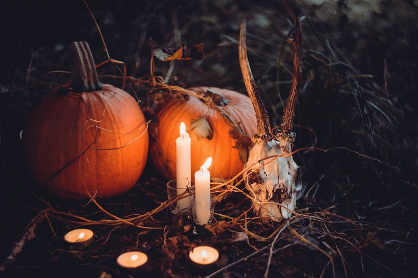 Autumn Vibes by Hello Pompoyo