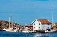 Harbour with boats in the village of Smögen in Sweden by Rico Ködder thumbnail