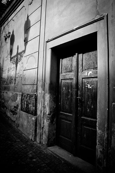 Shadow Play by Evelyne Dierikx
