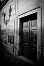 Shadow Play by Evelyne Dierikx thumbnail