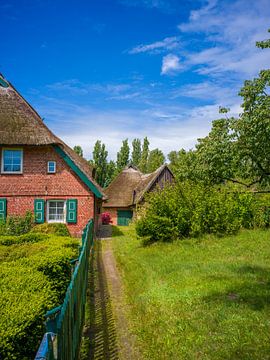 A thatched house on the Baltic Sea