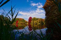 Herfst in Nederland