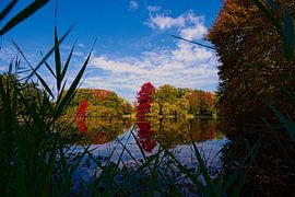 Herfst in Nederland von Leon Eikenaar