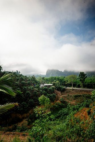 Frühmorgennebel in den Bergen von Khao Sok, Thailand von Raymond Gerritsen