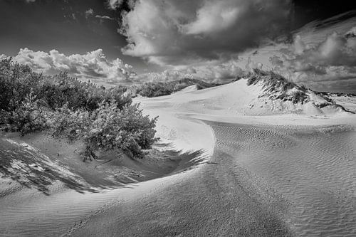 Une dune le long de la côte néerlandaise en noir et blanc sur eric van der eijkj