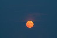 Volle maan in de zomernacht van Sjoerd van der Wal Fotografie thumbnail