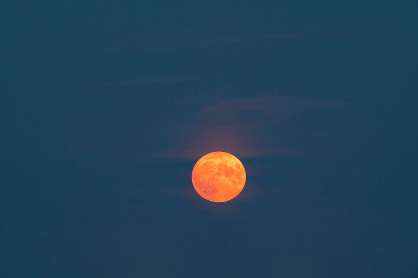 Volle maan in de zomernacht van Sjoerd van der Wal Fotografie