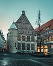 Historisches Rathaus Münster von Steffen Peters Miniaturansicht