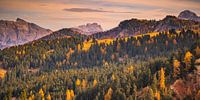Autumn on the Passo delle Erbe, Italy by Henk Meijer Photography thumbnail