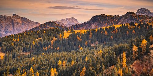 Autumn on the Passo delle Erbe, Italy