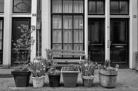 Bloemdwarsstraat Amsterdam by Peter Bartelings