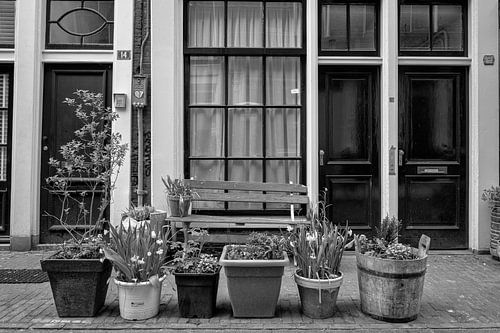 Bloemdwarsstraat Amsterdam