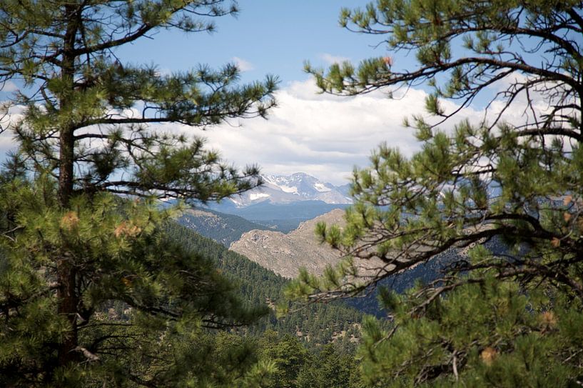 Rocky Mountains par Charlotte Meindersma