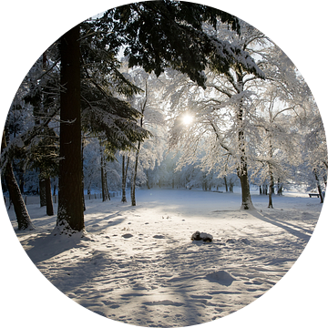 Loenermark in magisch wit! van FotoCreatives