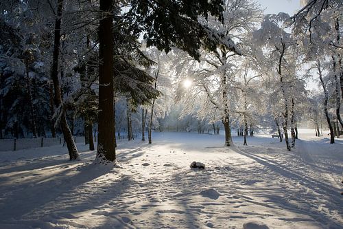 Neige dans le Loenermark