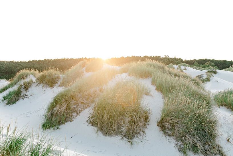 Uitzicht Hargen aan Zee van Sharona Sprong