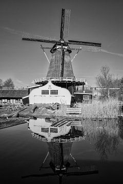 Molen de Ster in Utrecht met zijn reflectie in zwart-wit van De Utrechtse Grachten