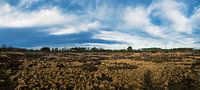 Strabrechtse heide (panorama)