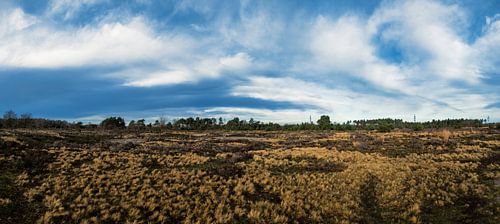 Strabrechtse heide (panorama)