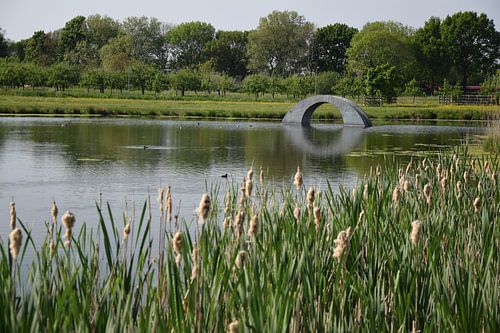Pont sans rampe