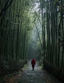 On the road in Japan