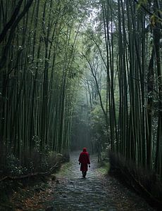 Unterwegs in Japan