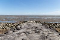 Texel | Wadden Sea | landscape