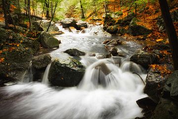 Herbstwasserfall von Fabrizio Micciche