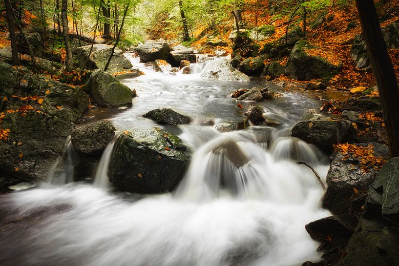 Chute d'eau d'automne par Fabrizio Micciche