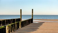 Beach poles at low tide