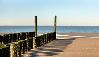 Beach poles at low tide